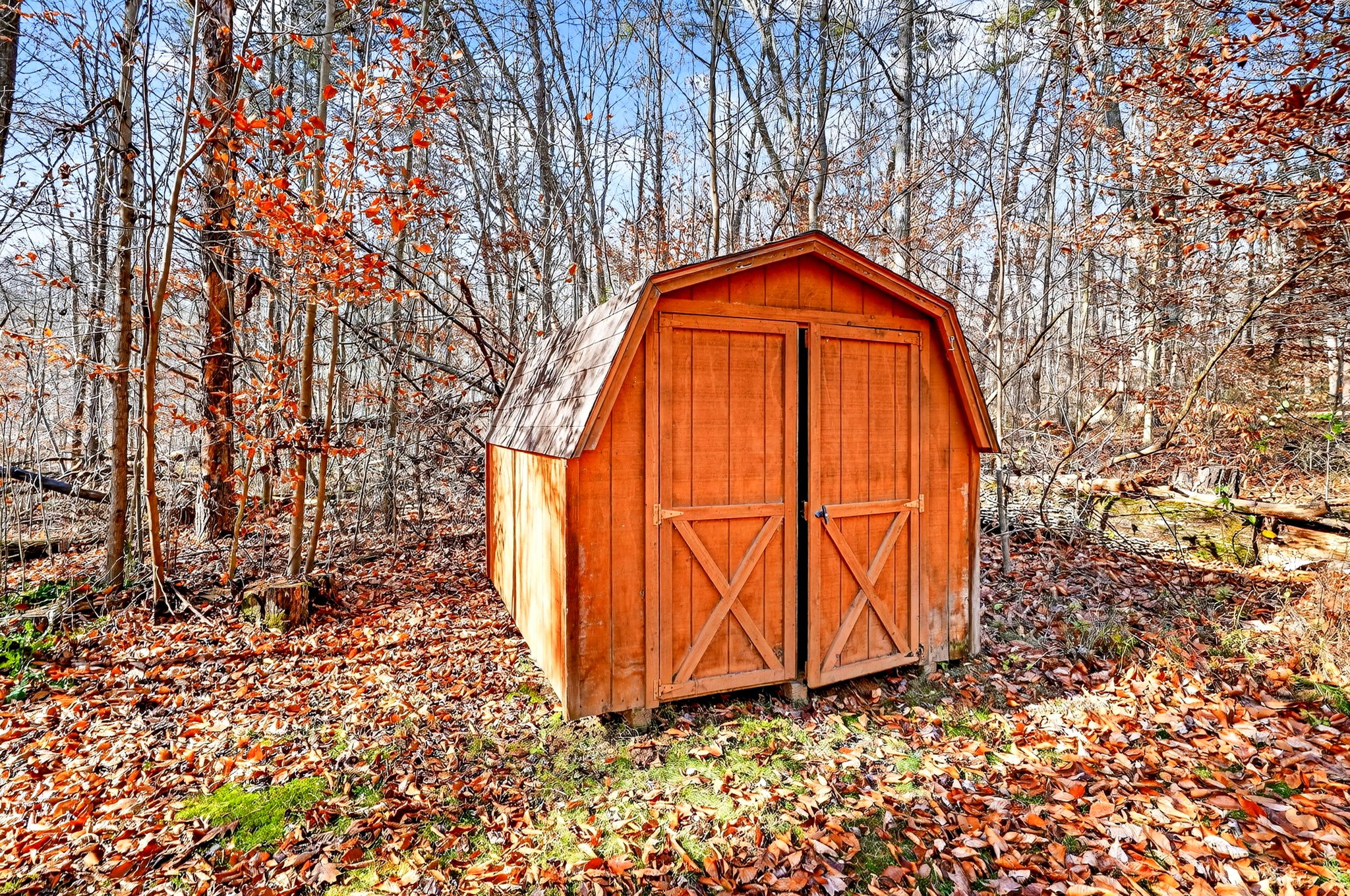 16160 Collison Rd 41