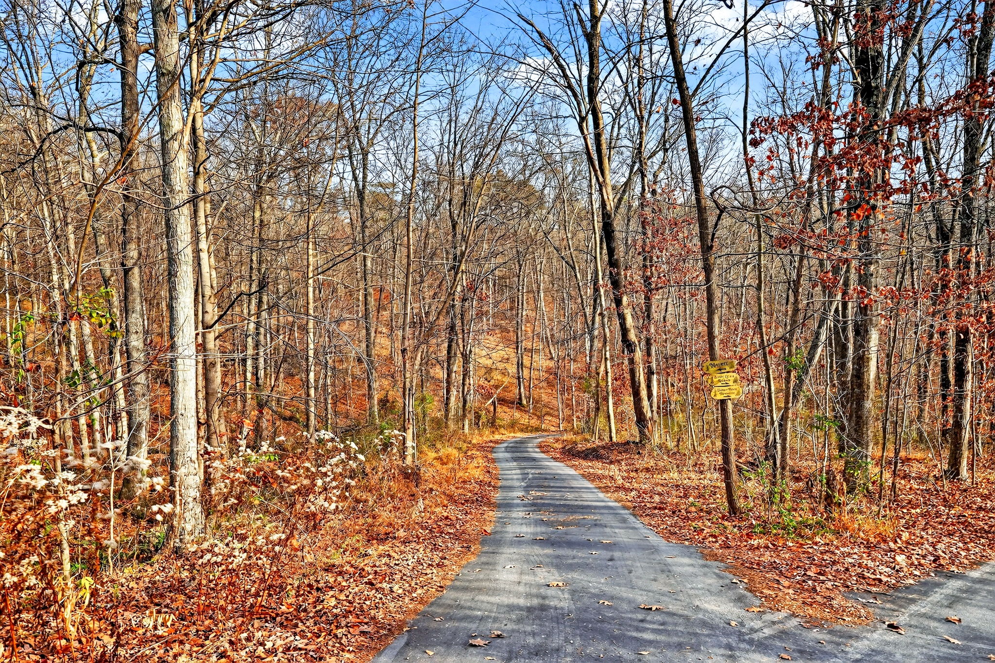 16160 Collison Rd 101