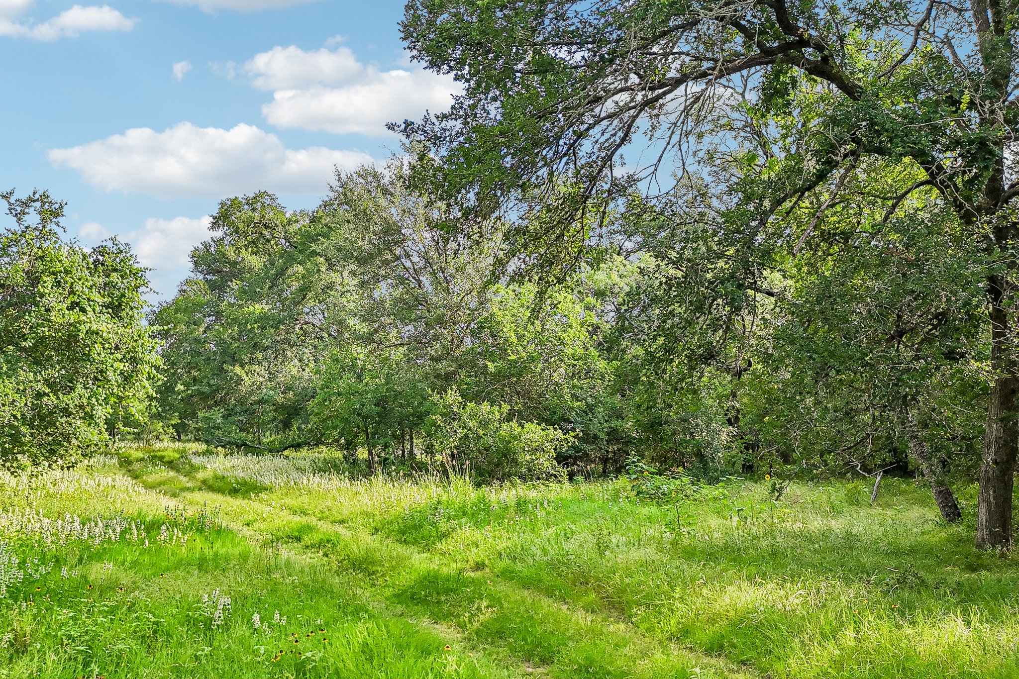 Blue Creek Rd-S0306-004.jpg