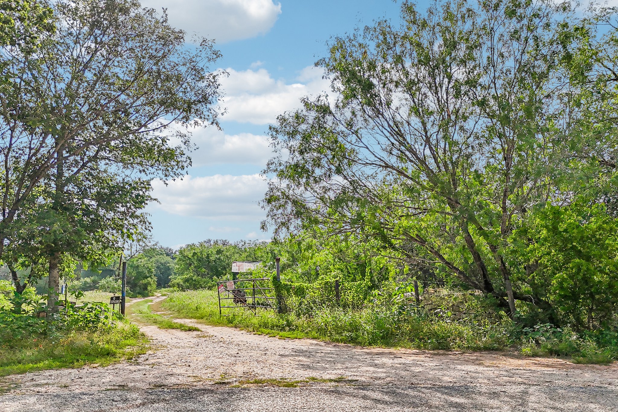 Blue Creek Rd-S0306-005.jpg