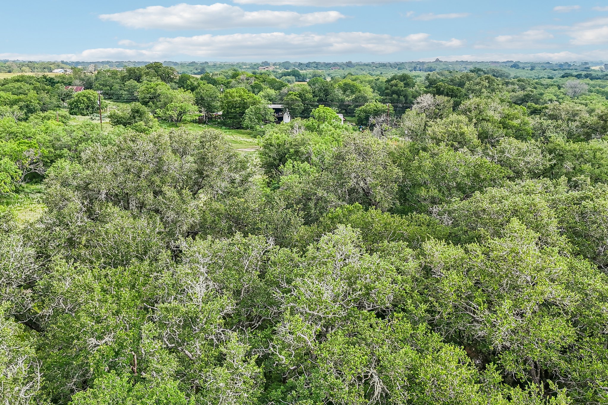 Blue Creek Rd-S0306-014.jpg