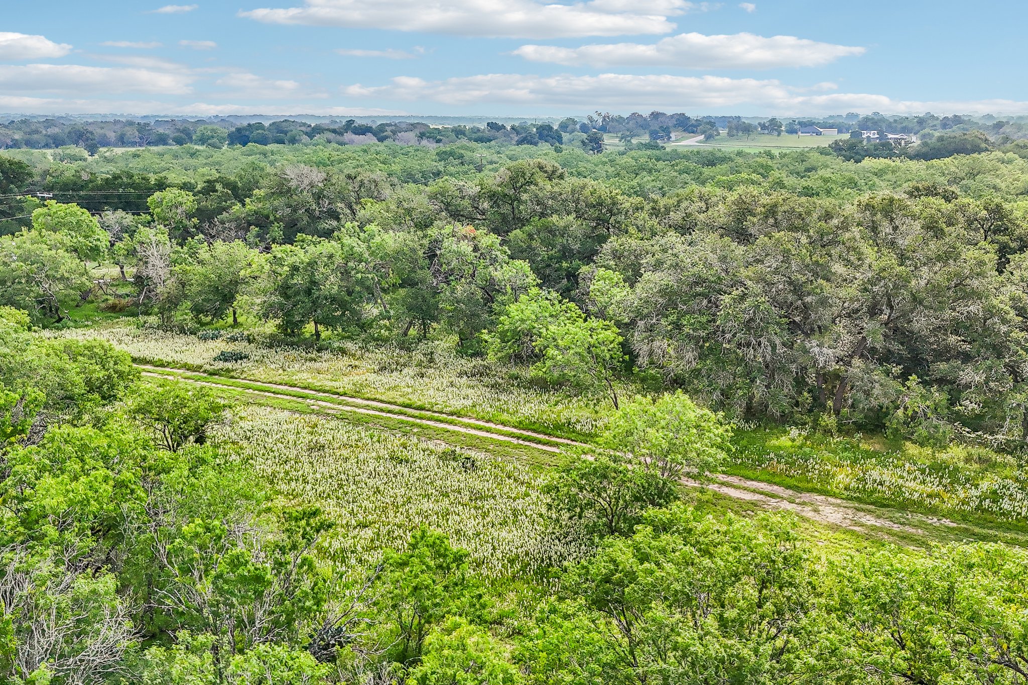 Blue Creek Rd-S0306-015.jpg