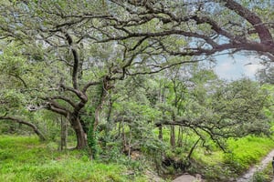 Blue Creek Rd-S0306-002.jpg