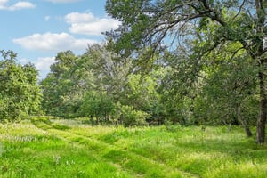 Blue Creek Rd-S0306-004.jpg
