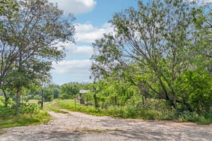 Blue Creek Rd-S0306-005.jpg
