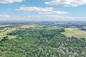 Blue Creek Rd-S0306-008.jpg