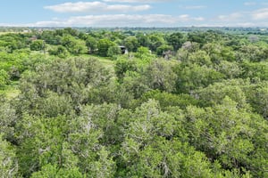 Blue Creek Rd-S0306-014.jpg