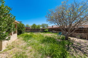  1617 Neleigh Dr, Las Cruces, NM 88007, US Photo 21