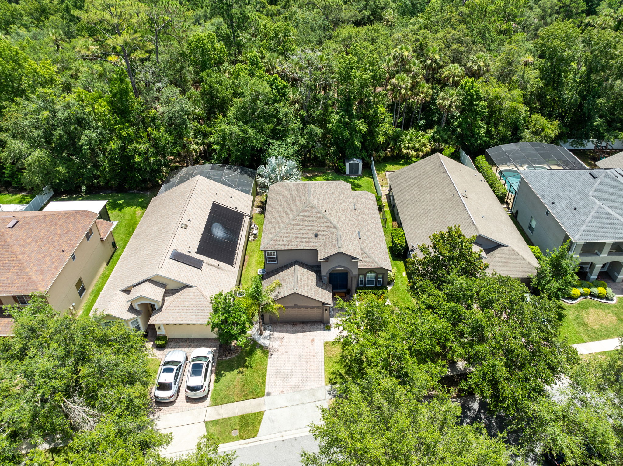Bird View