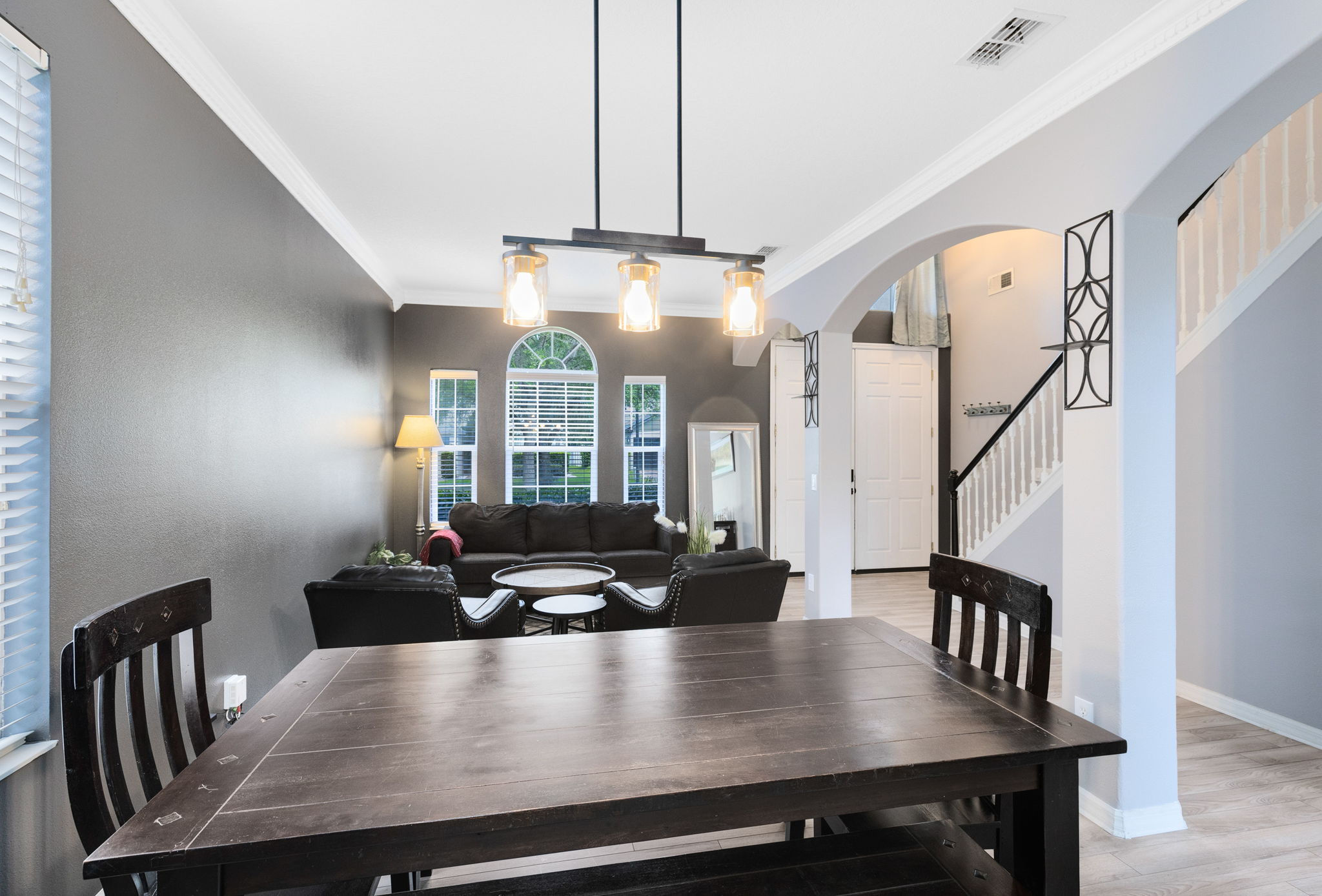 Living Room/Dining Room Combo