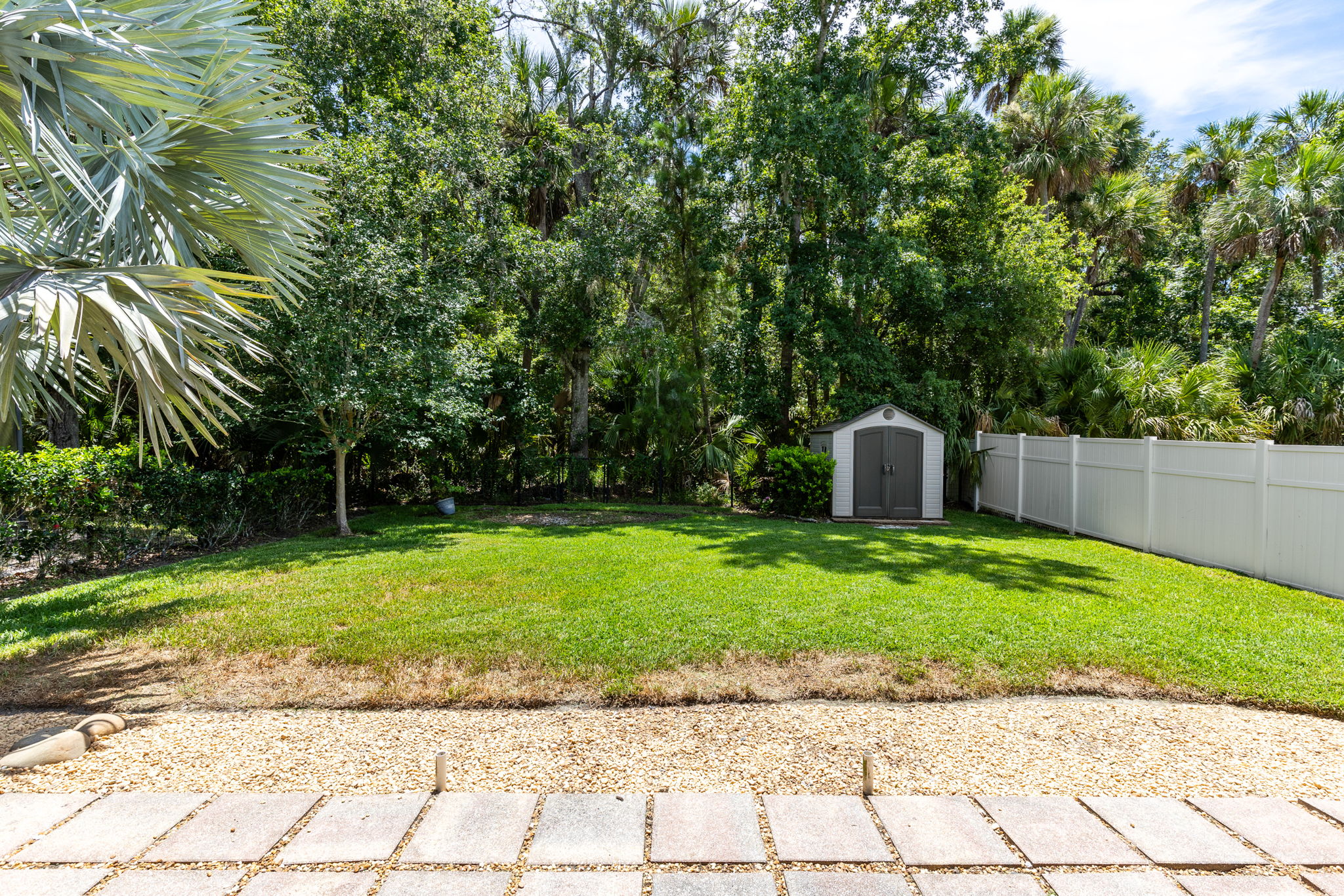 Patio/Back Yard