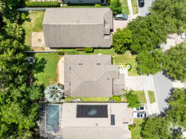 Bird View