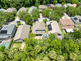 Bird View