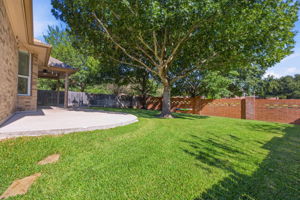  Photo 47