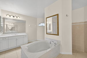 Primary Bathroom 2 of 3