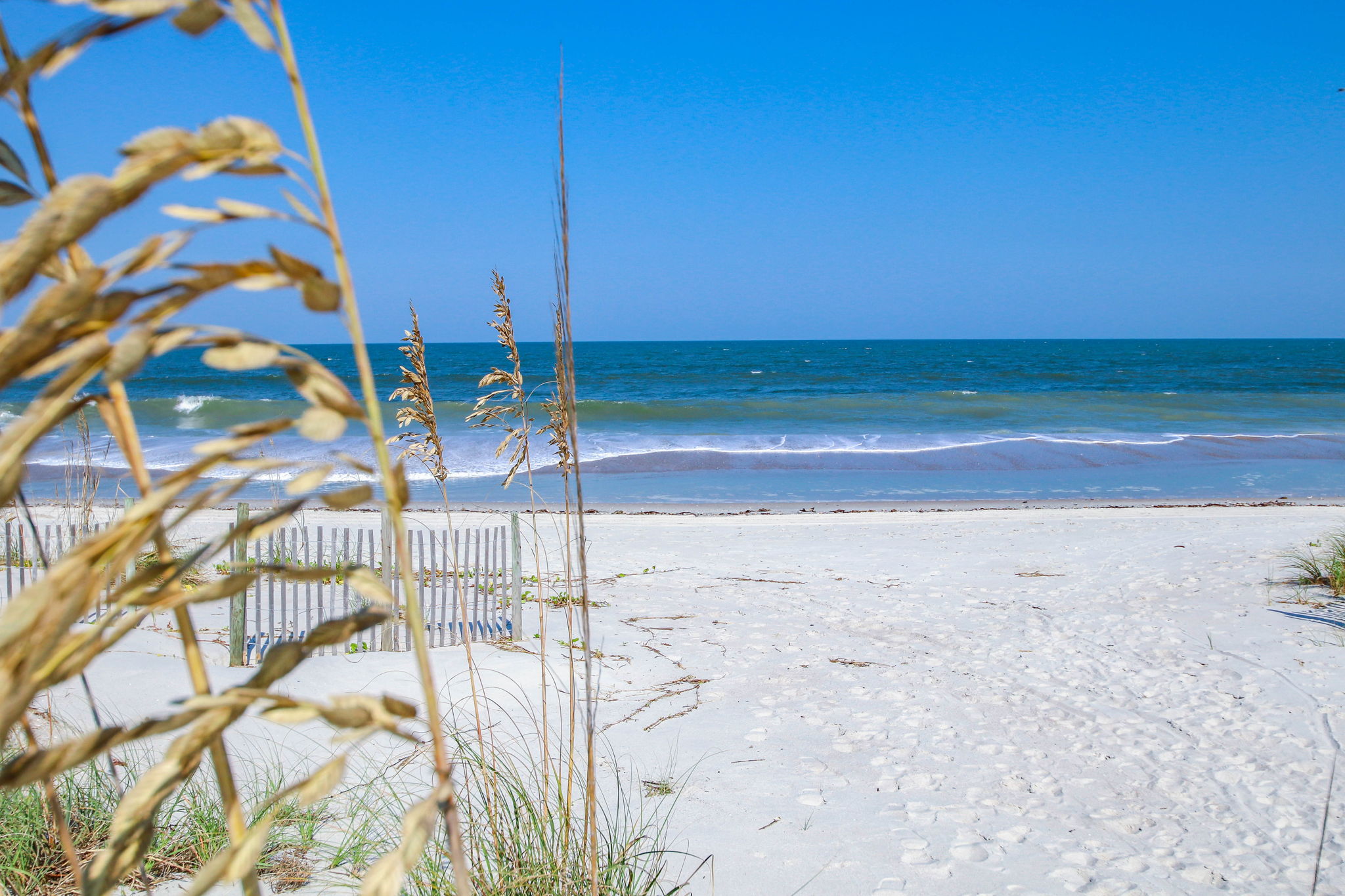 ...Leading to Amelia Island's award winning beaches