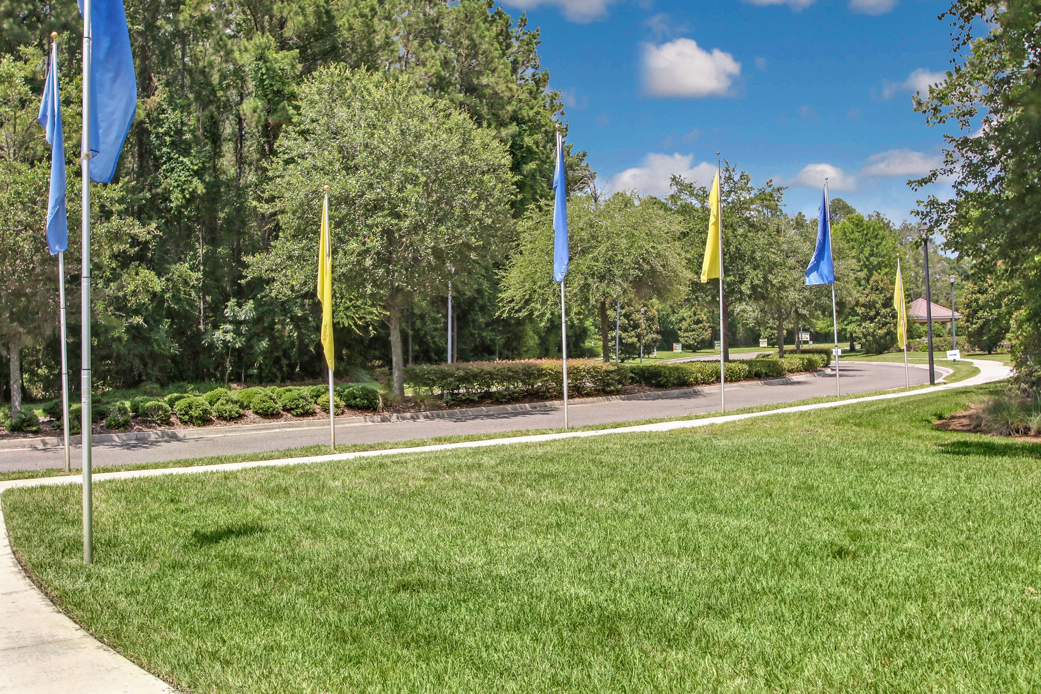 Yellow Bluff Landing