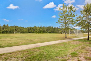 Yellow Bluff Landing