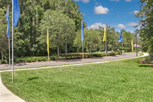 Yellow Bluff Landing