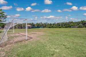 Yellow Bluff Landing