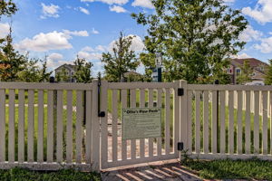 Arbor Mill
