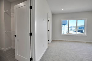  Photo 49