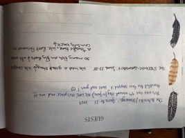  Photo 51