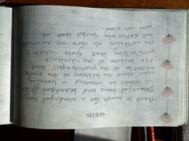  Photo 58