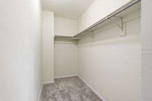 Large walk-in closet
