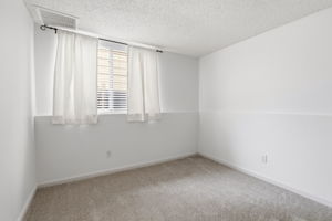 Lower level bedroom