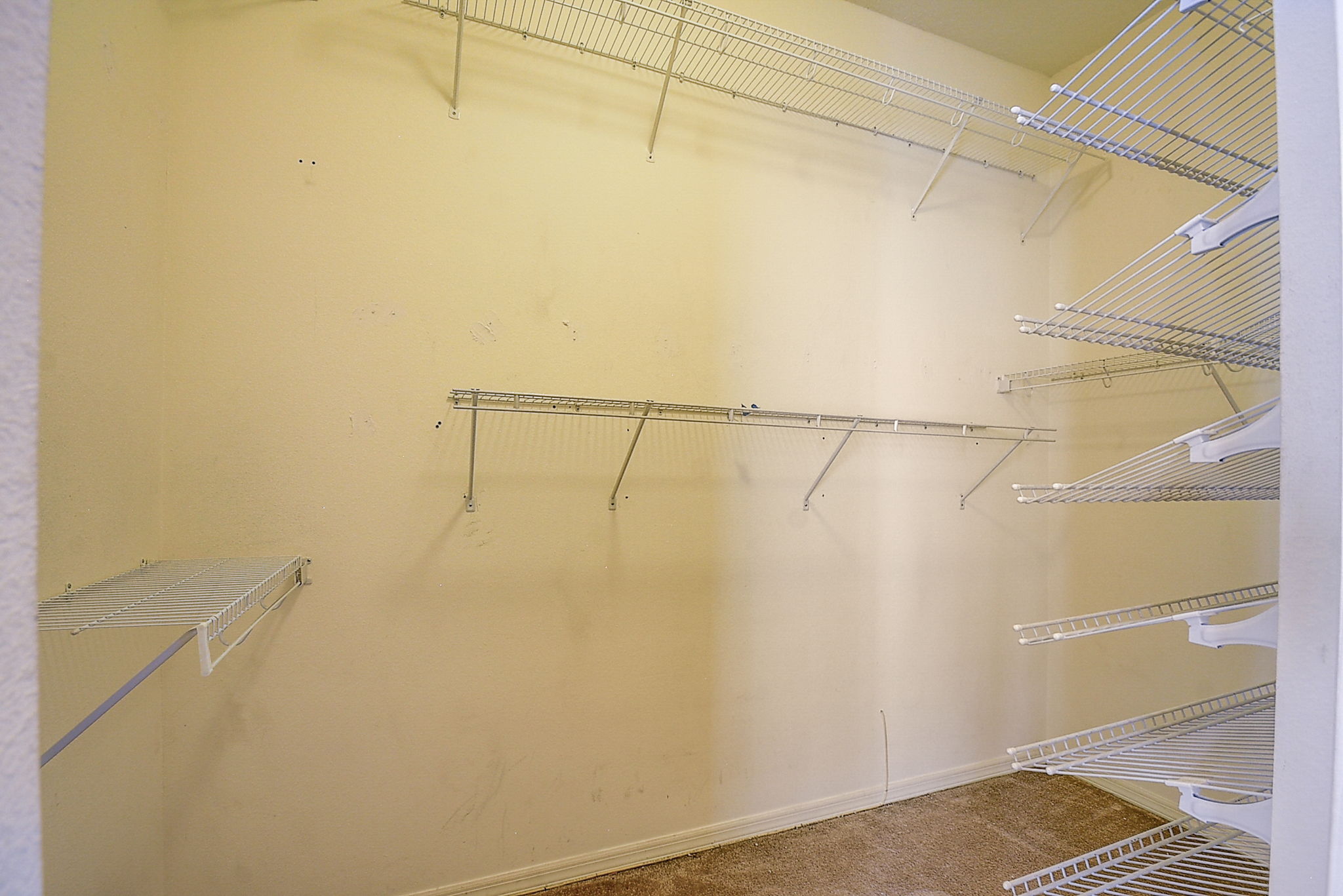 Brilliant Cut Way-032