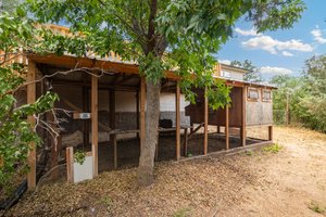 Chicken Coop