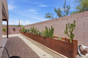  Photo 64