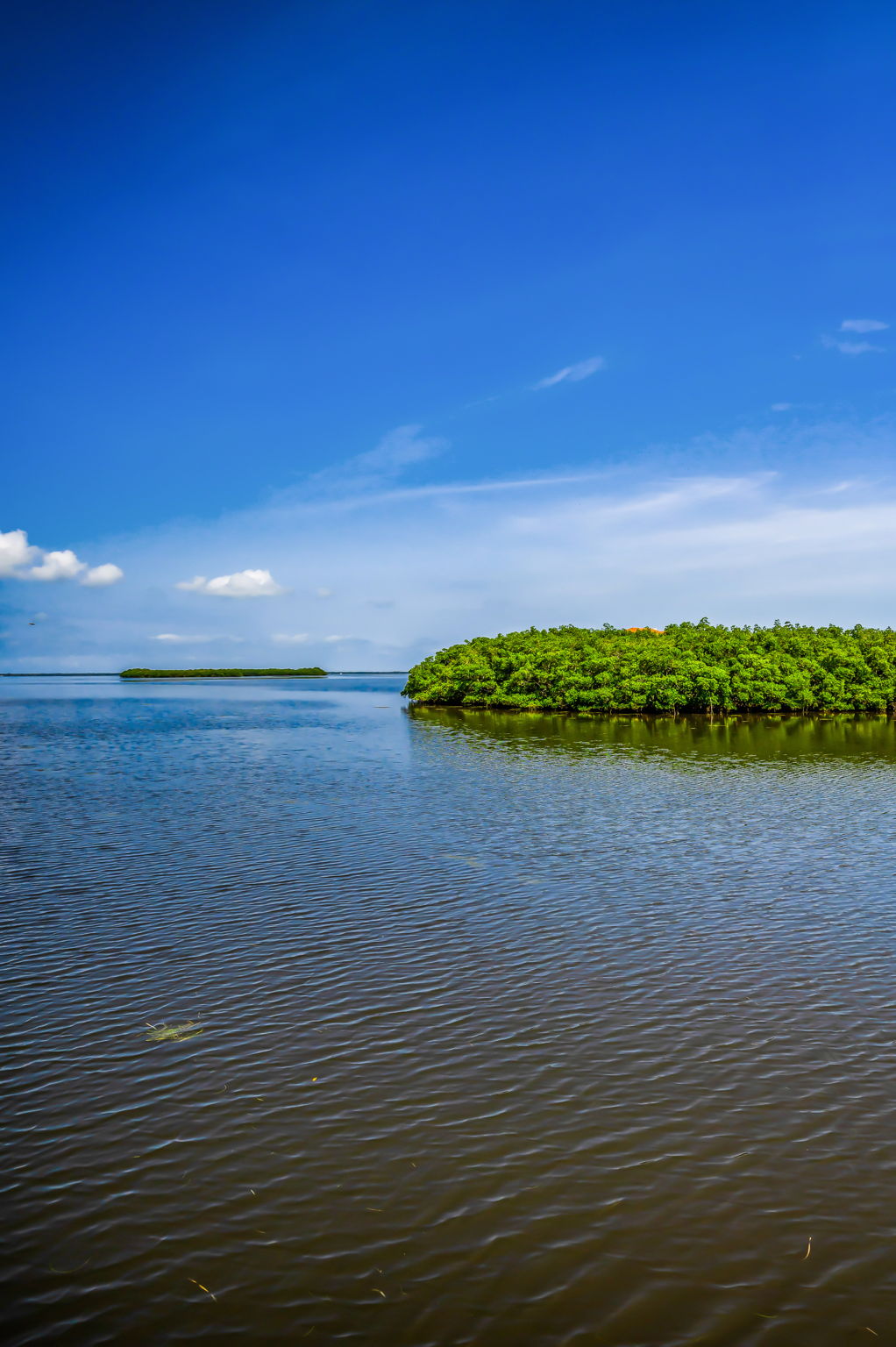 Dock Water View2
