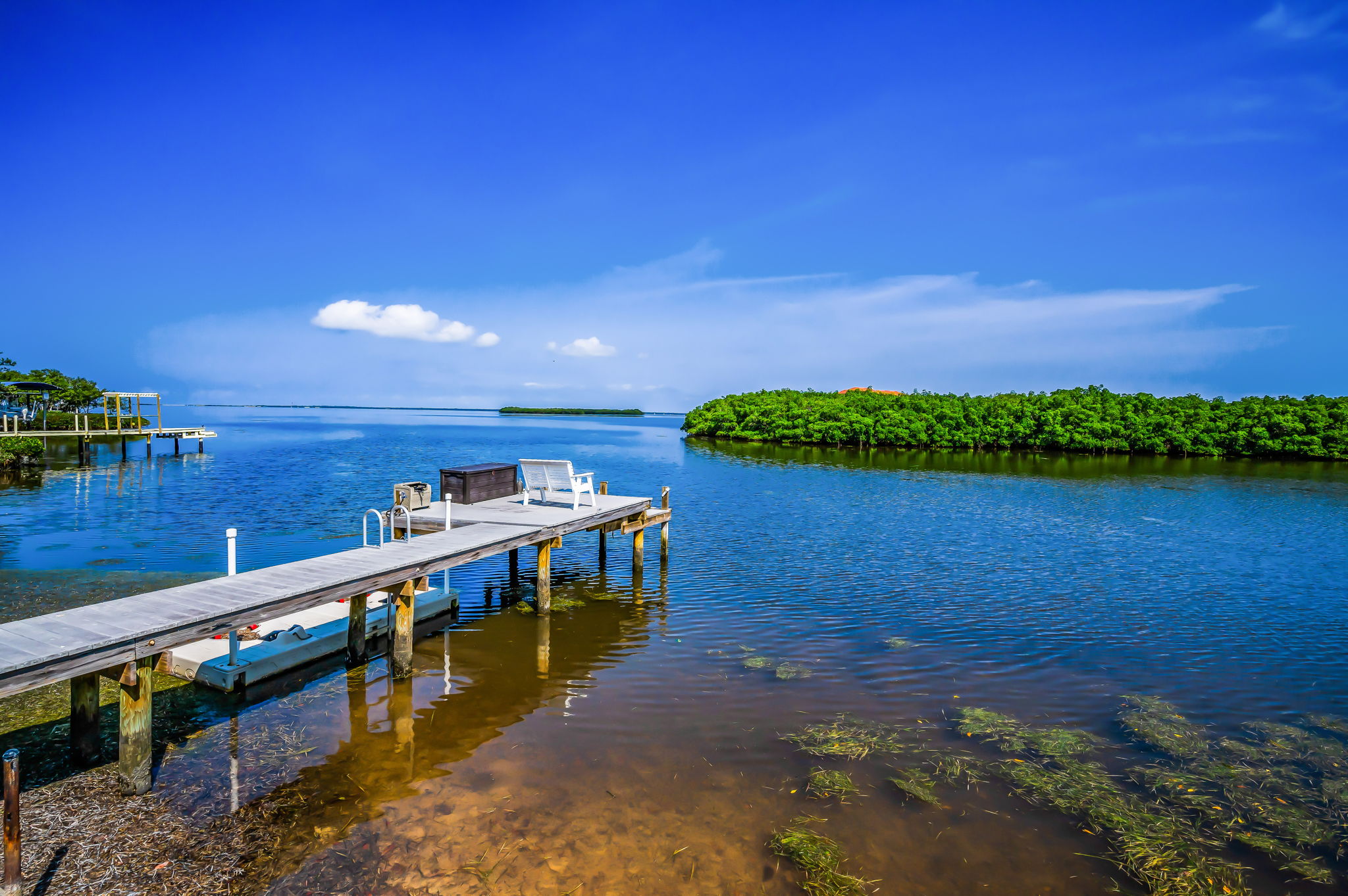 Dock1