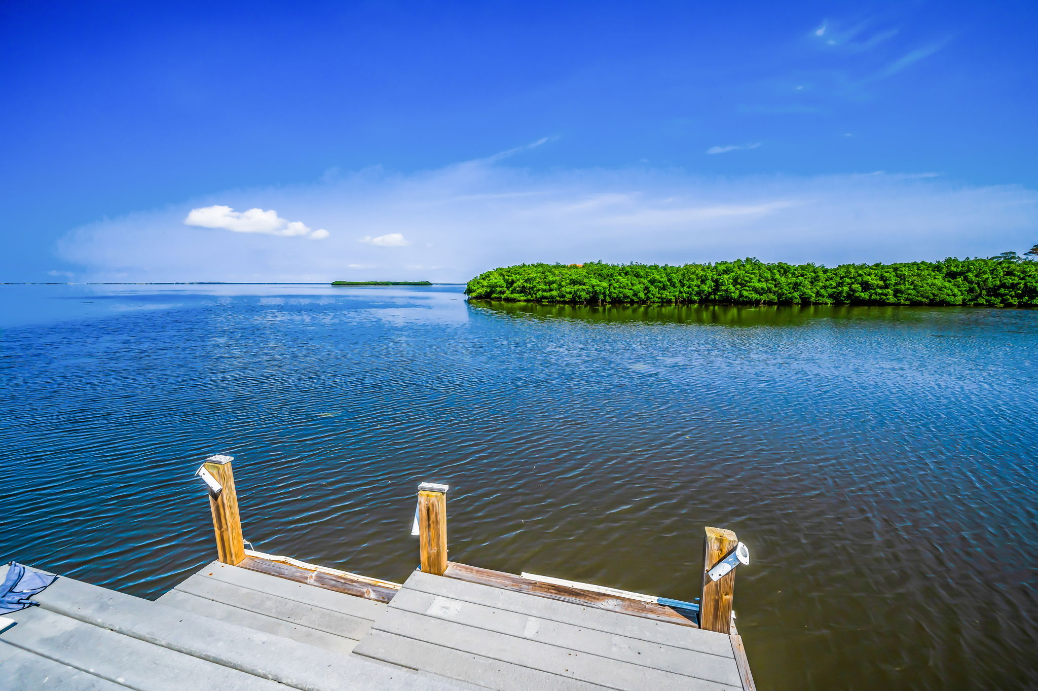 Dock4