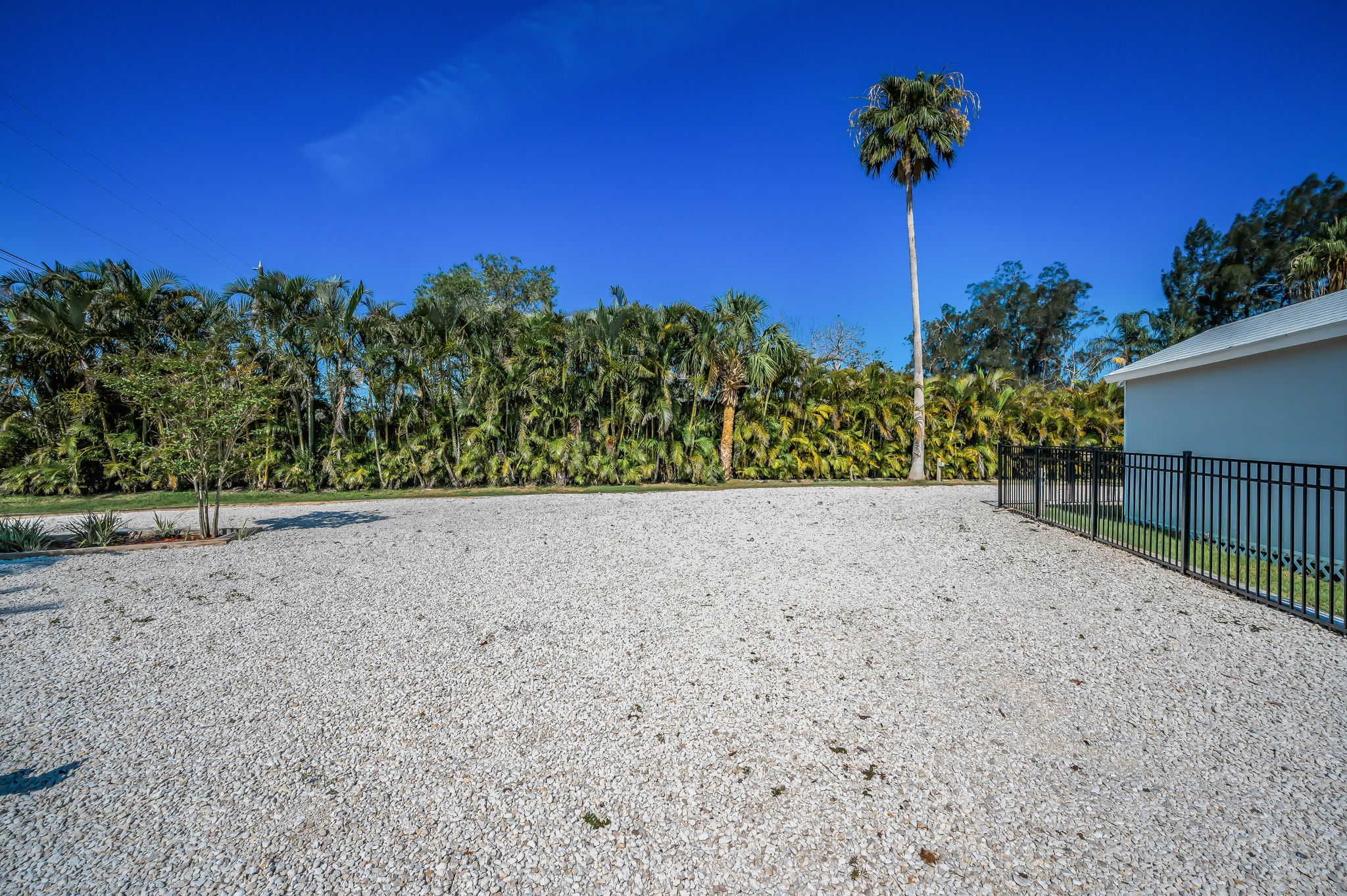 Frontyard1b