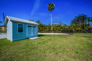 Backyard Shed