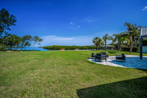 Backyard1