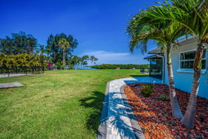 Backyard2