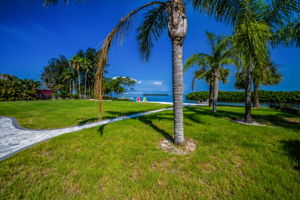 Backyard4