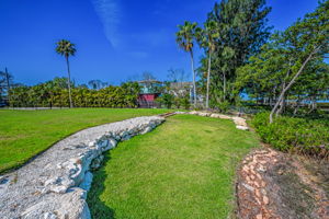 Backyard12