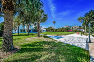 Backyard18
