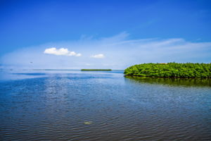 Dock Water View1