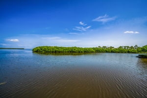 Dock Water View3