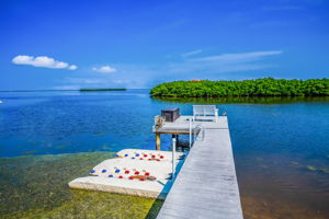 Dock2
