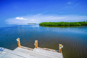 Dock4