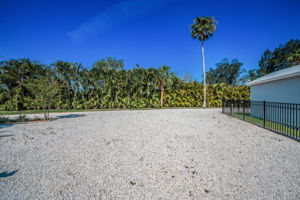 Frontyard1b