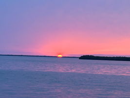 IMG_9130