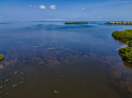 Aerial (11)
